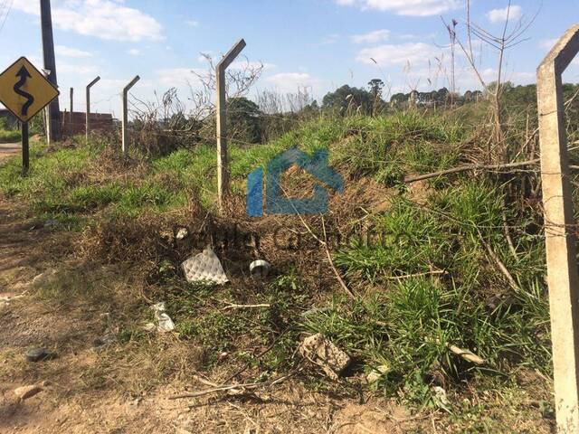 #192 - Terreno para Venda em Ibiúna - SP - 3