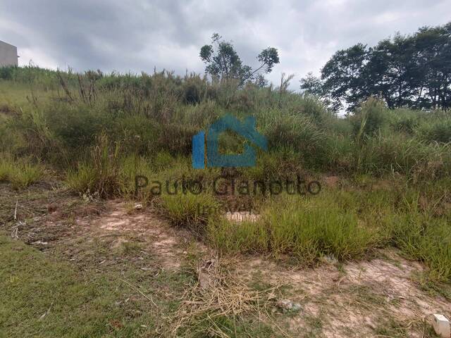 #433 - Terreno para Venda em Cotia - SP - 3