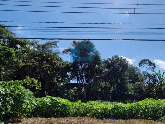 #453 - Terreno em condomínio para Venda em Cotia - SP - 3