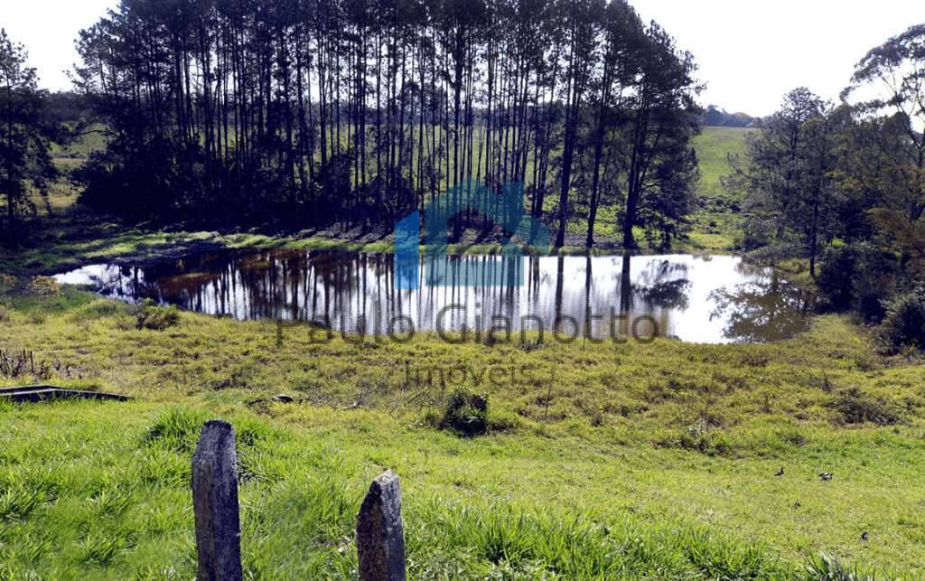 Terreno à venda, 200m² - Foto 19